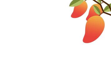 A vibrant cluster of mangoes hang from a branch, emphasizing freshness and natural bounty in a bright tropical image video