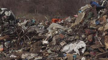 Pollution of the territory with household waste video
