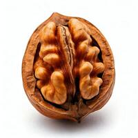 A walnut is shown on a white background photo