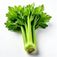 A bunch of celery on a white background photo