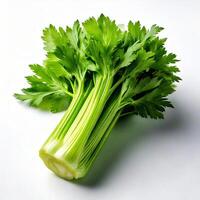 A bunch of celery on a white surface photo