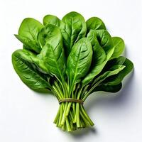 Spinach leaves on white background photo