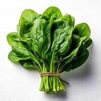 Spinach leaves are tied together on a white surface photo