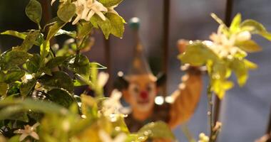 Bright mosaic flower pot features a playful clown figurine, surrounded by blooming plants and sunshine. This charming garden setup creates a lively atmosphere perfect for spring enjoyment. video