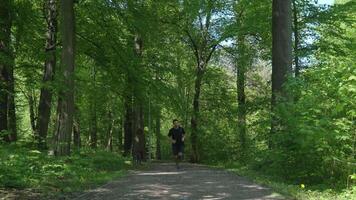 Man running on trail through park in summer day video