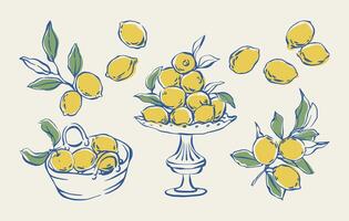 Hand drawn lemon set. Whimsical lemon fruits, branches with leaves, fruit bowl, and basket. Vintage doodle in Mediterranean style. Summer illustration for patterns, posters, cards, invitations. vector