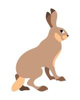 Isolated Illustration of a Sitting Hare. Ideal for wildlife themes, design projects, and educational materials. vector