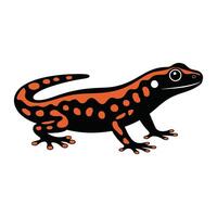 Stylized illustration of a salamander, featuring a black body with vibrant orange patterns along its back and limbs. vector