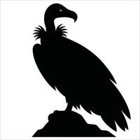 Silhouette of a vulture perched on a rock. The bird has a distinctive hooked beak and elongated neck feathers, typical of vultures. vector