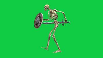 Skeleton holding sword and shield walking side view, warrior skeleton troop defensive movement 3d render loop animation isolated on green screen background video