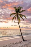 A lone palm sways on a tranquil beach, reflecting sunset's vibrant hues in the sky photo