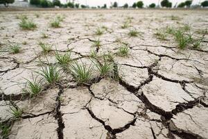 Cracked earth with resilient green grass defying the desolation of drought photo
