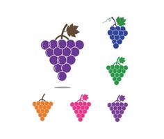 Premium Quality Grapes Set with Different Styles and Color Combinations vector