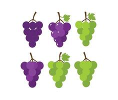 Professional and High-Resolution Grape Bunch Illustrations for Web and Print vector