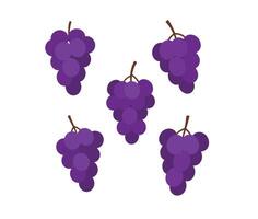 Minimalist and Contemporary Grape Icons for Digital and Print Designs vector
