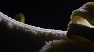 Detail von Banane Obst kreisend mit intim Licht im schwarz Hintergrund video