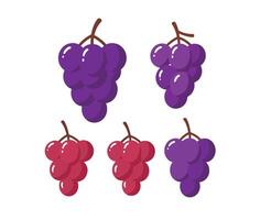 Beautifully Designed Grape Icons with Different Artistic Interpretations vector
