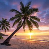 the atmosphere of the afternoon view on the beach with white sand and decorated with coconut trees photo