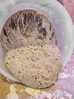 sourdough dough being pulled from a plastic bowl, forming threads and showcasing its gluten structure photo