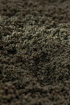 A detailed view of a textured surface with small, dark, spherical particles. The uniform and dense arrangement creates an intricate visual pattern. photo