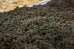 A detailed view of small, dark, granular material spread in an even layer, with a lighter colored area visible at the top, suggesting material separation. photo