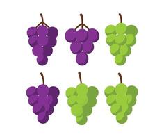 Creative Grape Cluster Illustrations with Decorative Twisting Vines vector
