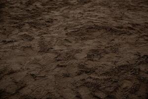 Uneven dirt surface with visible footprints and tire tracks, featuring loose soil and compacted areas under dim lighting with an earthy tone. photo