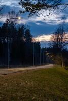 A winding pathway lit by streetlights at dusk, bordered by sparse grass and tall trees. The sky shows dark clouds and fading sunlight hues. photo
