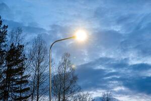 A glowing streetlamp contrasts with bare tree silhouettes and a cloudy evening sky, highlighting the interplay of light and natural elements. photo