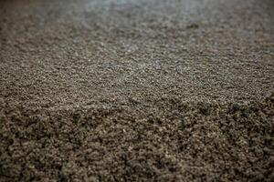 A detailed view of a granular surface, highlighting fine textures, uneven distribution, and subtle color variations without identifiable landmarks. photo