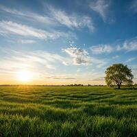 Panoramic Sky Background Landscape photo