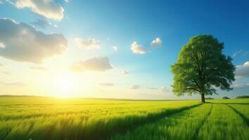 Nature Background with Panoramic Sky photo