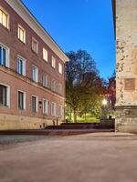 Street with a building on the left and a tree on the right photo