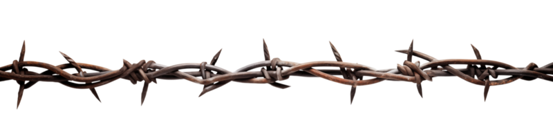 A close up view of rusty barbed wire against a stark transparent background in a horizontal line png