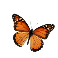 Clear background showcasing an isolated butterfly png