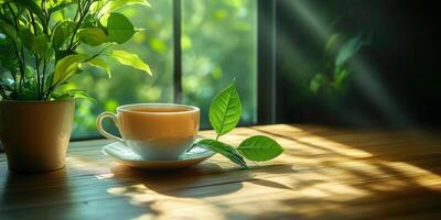 A cup of tea and a plant on a window sill photo