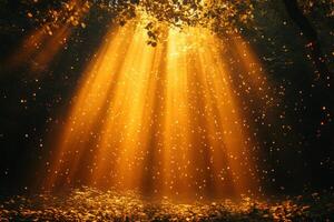 Sunbeams shining through the leaves of a forest photo