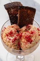 Rye bread ice cream decorated with freeze dried raspberry powder and two toasted slices of Borodino bread in an elegant glass bowl, creating a unique and contrasting culinary experience photo