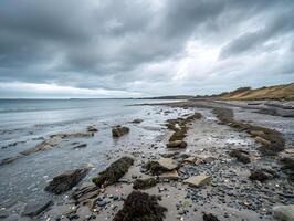overcast coastal scene with seaweed rocks waves and cloudy sky along wild shoreline photo