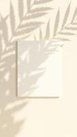 Blank canvas with soft shadows from palm leaves on a light wall creating a serene atmosphere for artistic expression and creativity concept photo