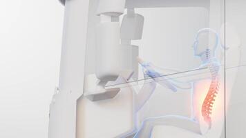 Driver Spine Stress Analysis While Operating Vehicle Animation video