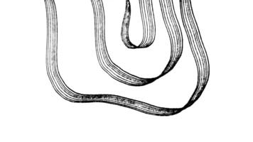 A drawing of a long, thin, curved object video