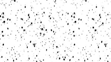 A black and white pattern with spots video