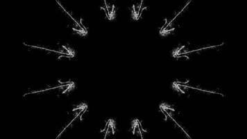A black and white image of a circle with many small bugs video