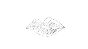 A drawing of a leaf with a line drawn on it video