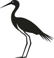 Illustrate Crane and Heron Learn Art Techniques for Feather Texture and Form vector