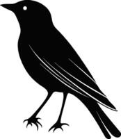 How to Illustrate Bird Silhouettes Explore Art Methods for Capturing Shapes vector