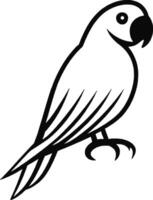 Parrot Drawing Tutorial Learn Step Art Techniques for Bird Illustrations vector
