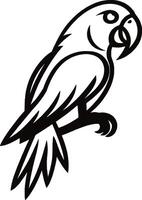 How to Sketch a Parrot Explore Detailed Artwork Methods for Realistic Designs vector