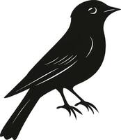 Step by Step Bird Artwork Guide Improve Shading and Outlining for Elegant Designs vector